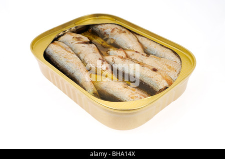 Ouvrir une boîte de sardines à l'huile sur fond blanc, cut out. Banque D'Images