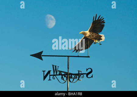 La Tombe de l'Eagles. Margarets Hope, 5901 SCO Orkney Banque D'Images