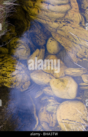 Les montagnes offrent de Chimanimani certains randonneurs du moins l'embarras des aires de nature sauvage dans le sud de l'Afrique. Banque D'Images