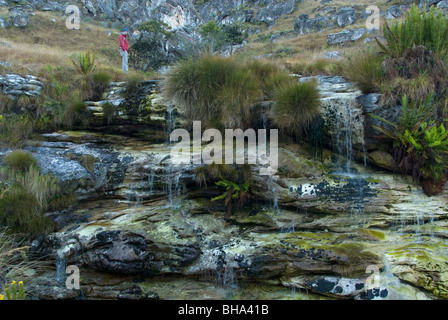 Les montagnes offrent de Chimanimani certains randonneurs du moins l'embarras des aires de nature sauvage dans le sud de l'Afrique. Banque D'Images