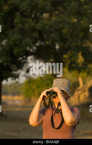 Les touristes profiter des vues spectaculaires et des sons de Mana Pools National Park, Zimbabwe. Banque D'Images