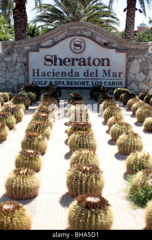 Le Sheraton Hacienda Del Mar Hotel, Cabo, Mexique. Banque D'Images