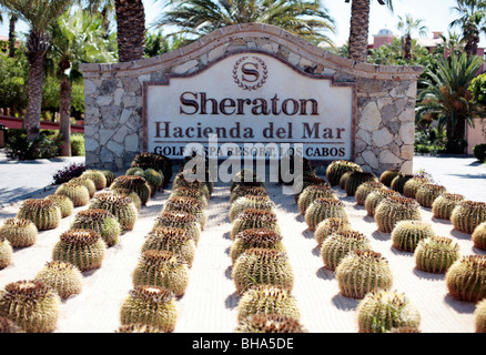 Le Sheraton Hacienda Del Mar Hotel, Cabo, Mexique. Banque D'Images