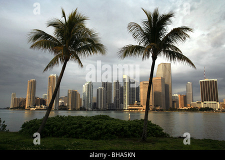 Centre-ville de Miami vu de Dodge Island, Miami, Floride, USA Banque D'Images