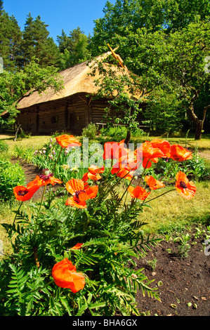 Ferme restaurée à Latvijas etnogrāfiskais brīvdabas muzejs ethnographique letton (musée en plein air), Rīga, Lettonie Banque D'Images