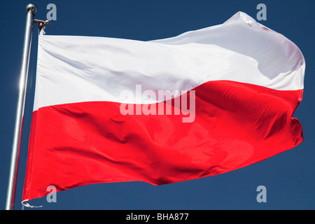 Drapeau de la Pologne Banque D'Images