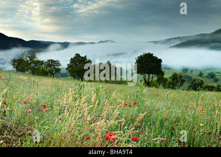 Mist couché dans la Valnerina nr Preci, Ombrie, Italie Banque D'Images