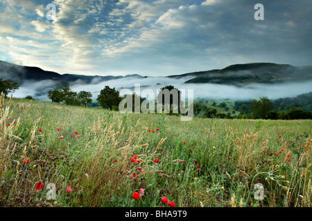 Mist couché dans la Valnerina nr Preci, Ombrie, Italie Banque D'Images