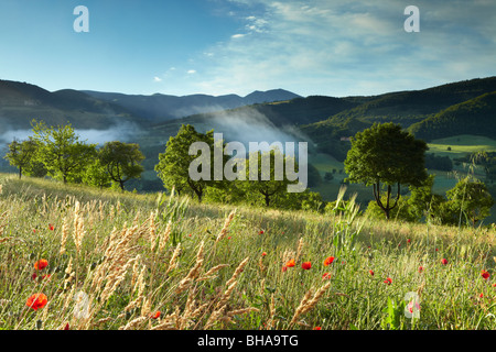 Mist couché dans la Valnerina nr Preci, Ombrie, Italie Banque D'Images