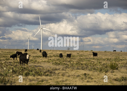 Les vaches dans les centrales éoliennes avant Banque D'Images