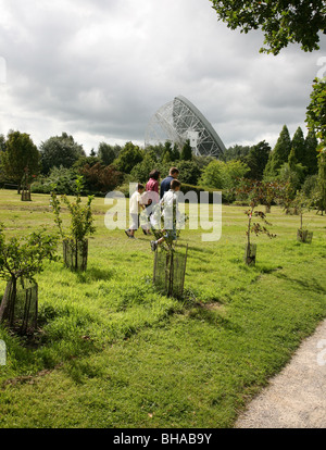 Une famille à marche radiotélescope de Jodrell Bank arboretum Cheshire, Angleterre, Royaume-Uni Banque D'Images