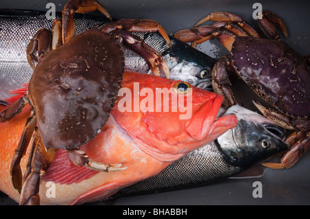 Close up de poissons capturés dans la cale d'un petit bateau de pêche sportive, le sud-est de l'Alaska Banque D'Images