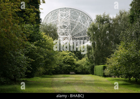 Le radiotélescope de Jodrell Bank arboretum Cheshire, Angleterre, Royaume-Uni Banque D'Images