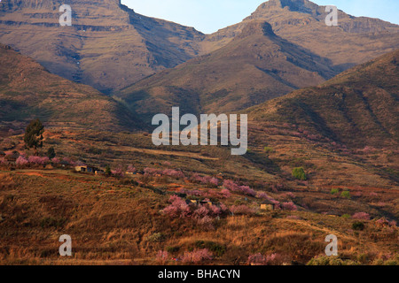 Heure d'or Afrique Lesotho Moteng Mountain Banque D'Images