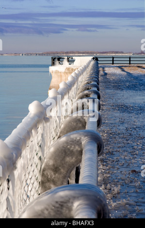 Grillage encastré dans la glace et la neige. Banque D'Images