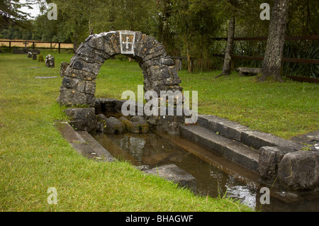 Saint Brigid's wells. L'Irlande, dans le comté de Kildare/co. Tully Banque D'Images