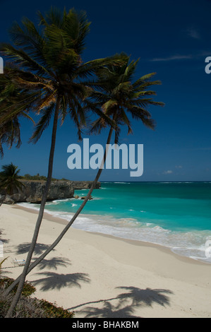 La plage de sable blanc, les palmiers et la mer en bas de la baie sur la côte est de la Barbade Banque D'Images
