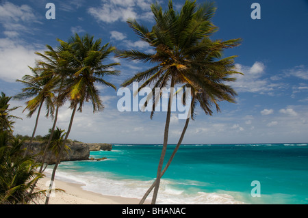Couleur Aqua mer et palmiers au fond Bay Beach sur la côte est de la Barbade dans les Caraïbes Banque D'Images