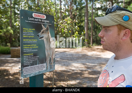 La lecture touristique Méfiez-vous des dingos signe sur Fraser Island, Queensland, Australie Banque D'Images