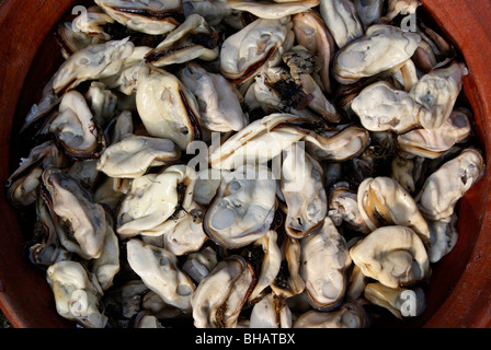 Fresh Sea shell dans un pot juste avant la préparation des aliments de la mer Banque D'Images