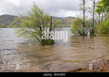 Ullswater dans le Lake District en Angleterre Banque D'Images