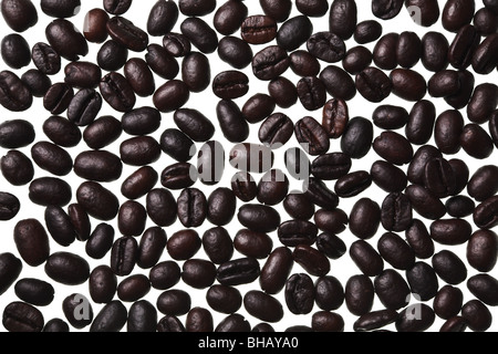 Les grains de café isolé sur fond blanc Banque D'Images