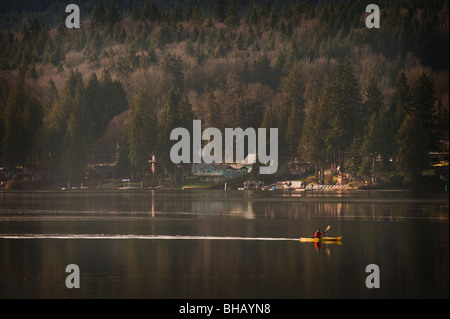 Un kayakiste palettes au début matin calme du lac de Samish Whatcom comté près de Bellingham, Washington, USA. Banque D'Images