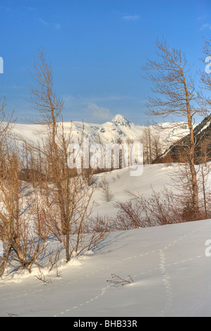 Vue panoramique sur la vallée de Portage en hiver, Southcentral Alaska, Banque D'Images