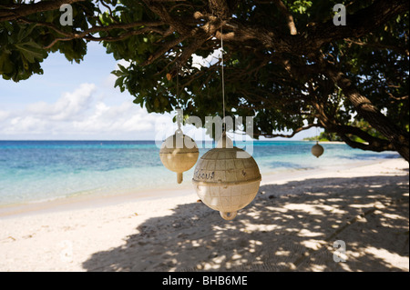 Hung bouées comme décoration dans un arbre sur la plage côté lagon, sur l'île de l'atoll de Majuro, Eneko, les Îles Marshall Banque D'Images