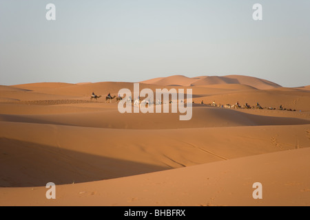 Une ligne de chameaux sur un voyage touristique au lever du soleil sur les dunes de sable de l'Erg Chebbi dans le désert du Sahara au Maroc Banque D'Images