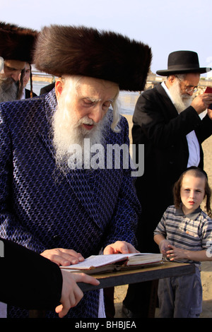 Israël, Tel Aviv, Tachlikh prière de la congrégation en Premishlan la rivière Yarkon, l'Admor Banque D'Images