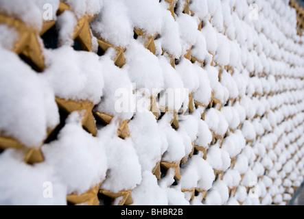 Des scènes de neige du National Mall. Mémorial de la Seconde Guerre mondiale. Banque D'Images