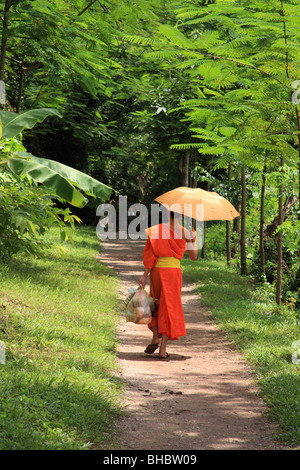 Jeune moine à Luang Prabang, Laos Banque D'Images