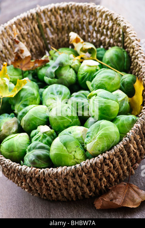 Panier de choux de bruxelles vert avec les feuilles d'automne Banque D'Images