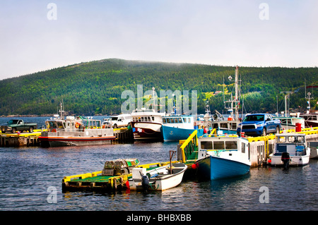 Port avec bateaux de pêche à Terre-Neuve, Canada Banque D'Images