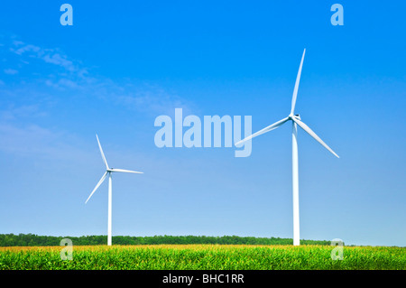 Alternative Green clean power wind turbines in field Banque D'Images