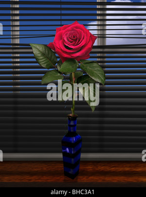 Rose rouge sur un joint de fenêtre en face d'un rideau Banque D'Images