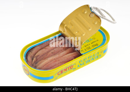 Filets d'anchois dans un fer-blanc sur fond blanc. Banque D'Images