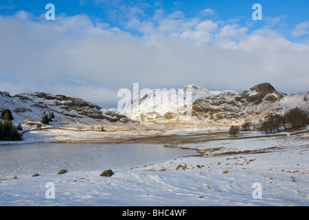 Blea Tarn en hiver, Little Langdale, Parc National de Lake District, Cumbria, Angleterre, Royaume-Uni Banque D'Images