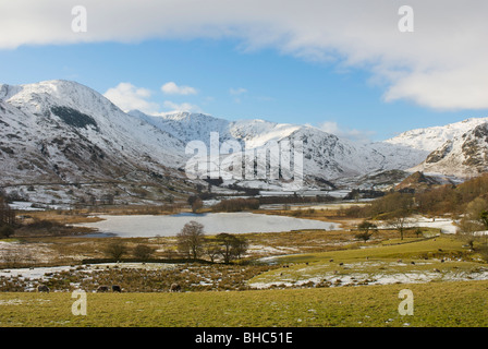 Little Langdale Tarn en hiver, Parc National de Lake District, Cumbria, Angleterre, Royaume-Uni Banque D'Images