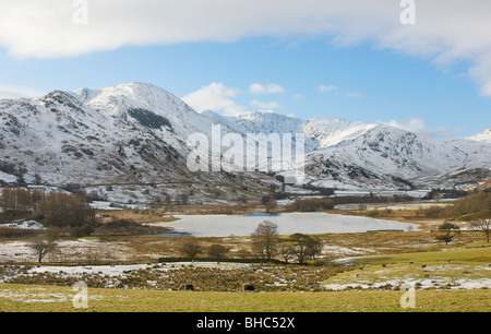 Little Langdale Tarn en hiver, Parc National de Lake District, Cumbria, Angleterre, Royaume-Uni Banque D'Images