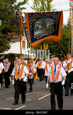 Douzième de juillet parade loyaliste, Belfast, en Irlande du Nord Banque D'Images