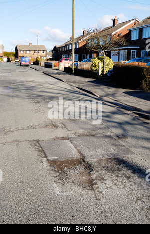 Poule en surface de la route sur route dans Cheshire, Royaume-Uni. Banque D'Images