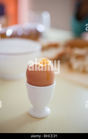 Oeufs à la coque pour le petit déjeuner Banque D'Images