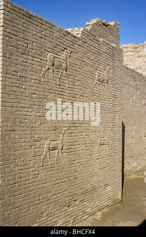 Porte d'Ishtar construit par Nebuchadnezzer II (c.604-562 av. J.-C.), en alternant les taureaux et de dragons, Babylone, l'Iraq 690201 017 Banque D'Images