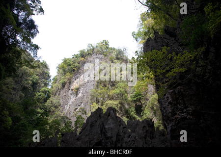 L'ouverture de la grotte de la mangrove au milieu de Panak Island Banque D'Images