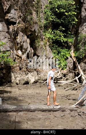 L'ouverture de la grotte de la mangrove au milieu de Panak Island Banque D'Images