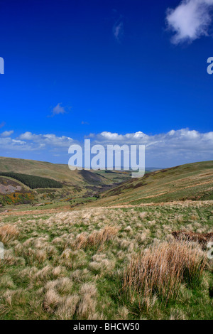 Cheviot Hills North Yorkshire Angleterre Borders Banque D'Images