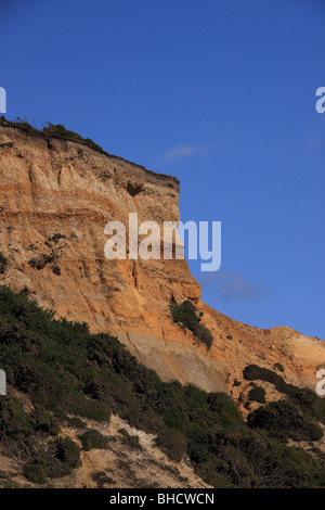 Le gravier et d'argile falaise à Barton sur mer Banque D'Images