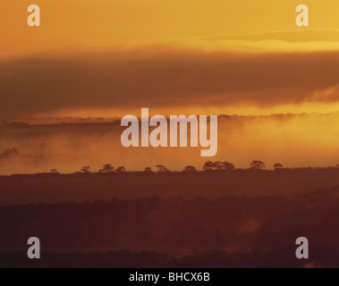 Matin brouillard sur Kushiro shitsugen-, paysage, Hokkaido, Japon Banque D'Images